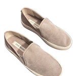 Steve Madden Gray Klarissa Slip On Sneaker Photo 2