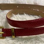 Axiom red snake skin leather belt size large Photo 0