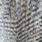 Grace Elements  Open Front Faux Fur Vest Photo 12
