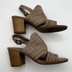 Seychelles  Bora Taupe Heeled Sandals Size 9 Photo 6