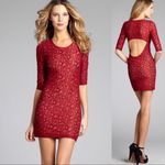 Lovers + Friends  Red Floral Lace Cutout Mini Dress Photo 1