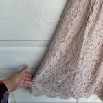 Jenny Yoo Womens Skirt Tan Lace Scallop Hem Size 12 Photo 5