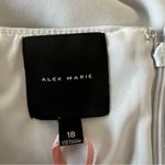 Alex Marie  Tabitha Anywhere Everywhere Work Pencil Skirt Womens SZ 18 Career New Photo 2