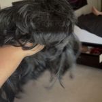 Short Black Wig Size undefined Photo 1