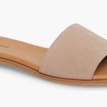 Treasure & Bond  Tan Suede Slide Sandals Photo 0