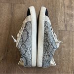 Vintage Havana Bianca Sneaker Grey Snakeskin Black Glitter Star 7 Gray Photo 8