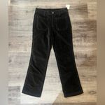Free People  High Time Velvet Kick Flare Pants in Black Photo 2