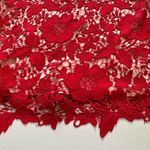 ECI New York Red Floral Lace Overlay Sleeveless Knee Length Holiday Dress Size 6 Photo 9