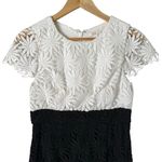 Shoshanna  Floral Lace‎ Sheath Cocktail Dress Short Sleeves Black and White, Sz 6 Photo 1