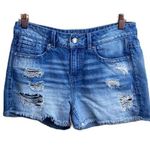 Buckle Buckel Black Jean Shorts Photo 0