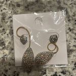 Boutique Teardrop Earrings Photo 0