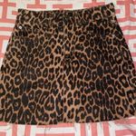 ZARA Animal Print Skirt Photo 0