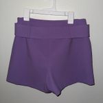 ZARA  Skirt Mini purple  Photo 1