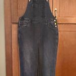 Universal Threads Vintage overalls Photo 0