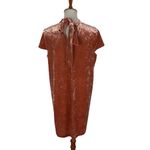 Madewell  Dress Large Brown Short Sleeve Boho Casual Fall Workwear‎ Chic Photo 3