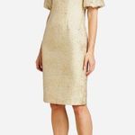 Teri Jon by Rickie Freeman Gold beaded embellished jacquard dress NWT Size 4 Photo 0