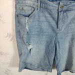 Torrid Denim Jean Shorts Photo 1