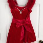 Japanese Gyaru Red Velvet Flower Petals Faux Fur Sleeved Valentines Mini Dress Photo 0