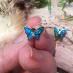 Sterling Silver Butterfly Blue Opal CZ  Earrings Photo 5