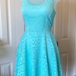 No Boundaries Fit And Flare Skater Sleeveless Dress Photo 0