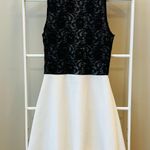 Wet Seal Balletcore Lace Overlay Fit & Flare Mini Dress S Photo 0