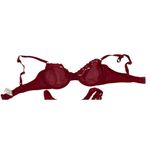 Capucine Red Lace French Photo 1