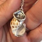 CLAM SHELL AND CONCH SHELL PENDANT NECKLACE Photo 5