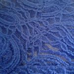 Decree Blue Lace Crop Top Photo 2