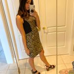 Loft Black And Gold Holiday dress Photo 1