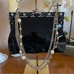 Dolce & Gabbana NWOT Black Floral Crystal VANDA Bag Chic, Bold & Glamorous Photo 2