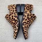 Steve Madden Steven by Crete Leopard Calf Hair Ankle Booties size 7 Photo 5