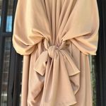 MISA Los Angeles Misa Los Angleses Nude Drape Mini Dress Photo 5