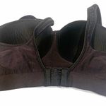 Bali  Size Medium Black Seamless Sports Athletic Bra Photo 3