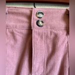 Love Riche Dusty Rose Pleated Corduroy Skirt Photo 2