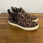 Rothy's Rothy’s The Chelsea boots in Wildcat Women’s Size 7.5 Photo 1