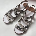 Kelly & Katie  Deenah Women’s Animal Print Sandals Sz 6.5 Photo 0
