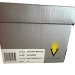 VOLATILE Untamed Flip Flops PV102 in White Metallic, Size 11, New in Box Photo 9