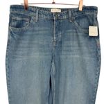 Free People NWT  We The Free Tennessee Low Rise Boyfriend Jeans Outlaw Wash Sz 32 Photo 6