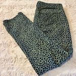 Talbots Size 8P Signature  Animal Print Pant Photo 9