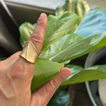 Anthropologie Gold tone boho 6.5 minimalist chic cool artsy lightweight fairy smooth ring​​ Photo 1