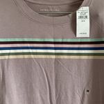 American Eagle NWT  Long Sleeve Cropped Striped Lavender Colored Tee Photo 1
