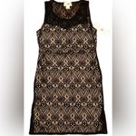 Wishful park  Black Lace Overlay Dress Photo 1