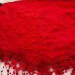 Red Tube Top Photo 1