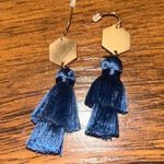 Francesca's Tassel Earrings Photo 0