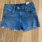 Levi's Denim Jean Shorts Demi Curve Classic Red Tab Cutoffs Womens 4 27 Photo 2