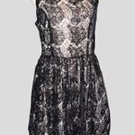 BB Dakota gorgeous black sparkle party dress!! Vintage style!! Photo 3