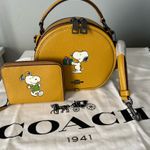 Coach X Peanuts Canteen Crossbody With Snoopy Present Motif And Matching Wallet Photo 6