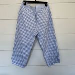 Talbots  Women’s 10 Blue Gingham Chino Pants Curvy Photo 2