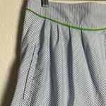 Lilly Pulitzer Blue White Striped Peek A Boo A-Line Skirt Size 2 Photo 6