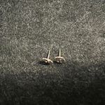 ALEX AND ANI Stud Earrings Photo 1